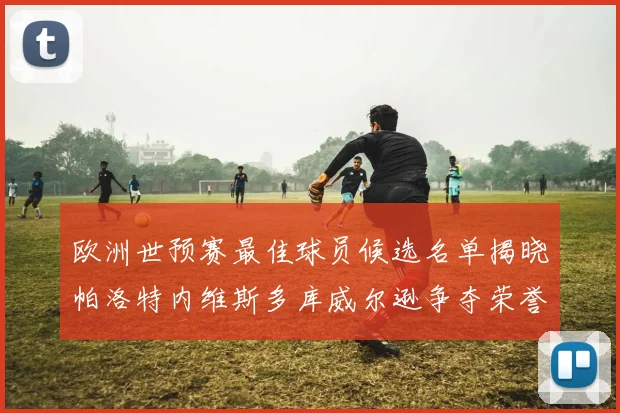 欧洲世预赛最佳球员候选名单揭晓帕洛特内维斯多库威尔逊争夺荣誉